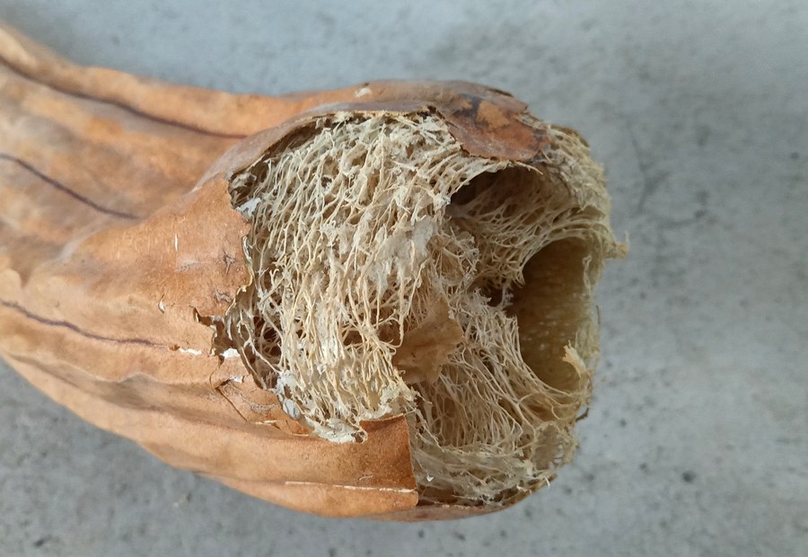 Estropajo esparto