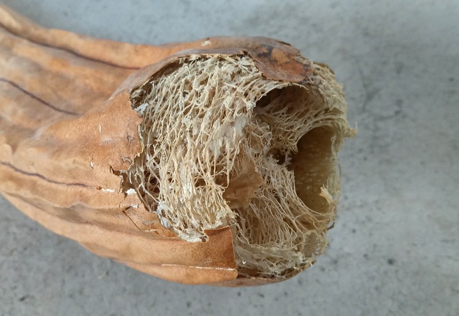 estropajo cobre grattoir