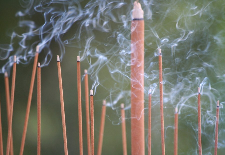 palo santo granel