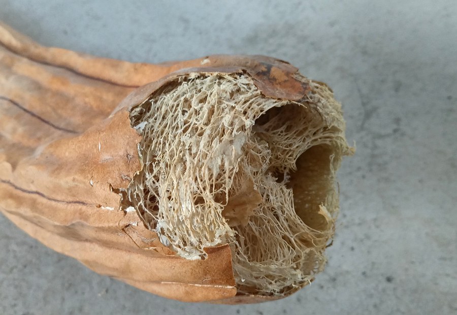 Estropajo DE Cocina Y Hogar