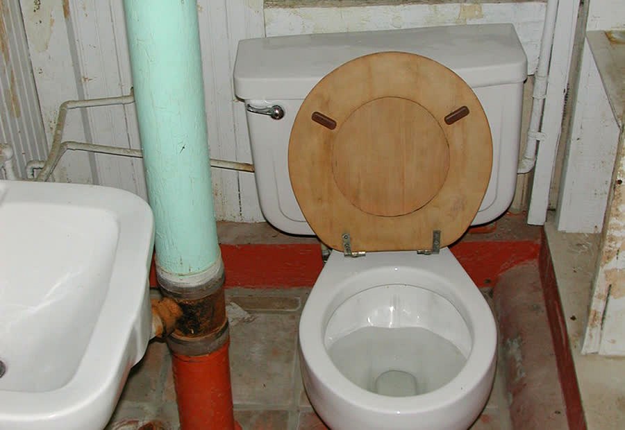 Pastilla WC Desincrustante Pz.450