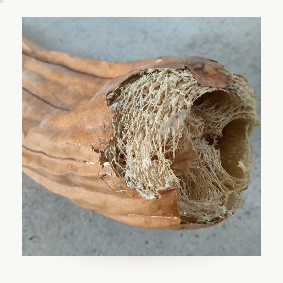 Esponja facial de Konjac