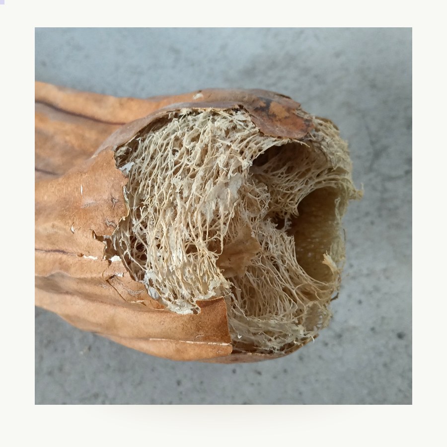 Bolsita Sisal